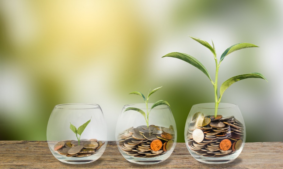 Your Path to Financial Wellness